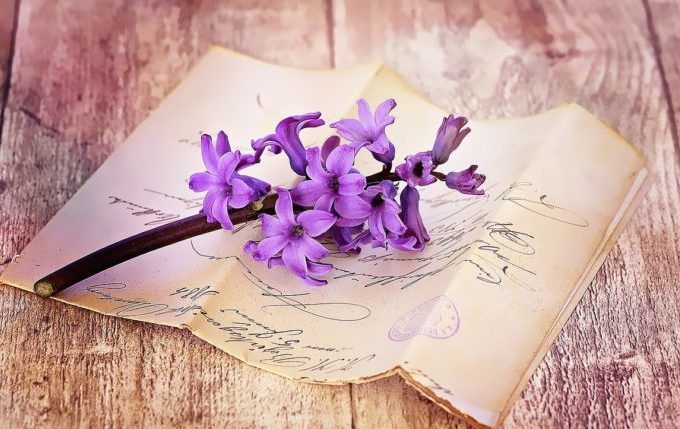 Das Wenn Buch - Brief mit lila Blume