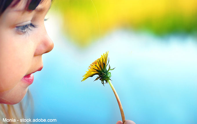 Kind bewundert Löwenzahnblume